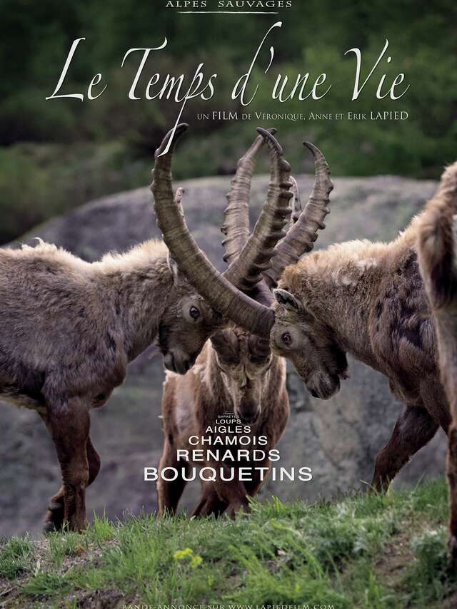 Le temps d'une vie