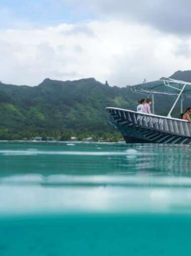 Tama Tours Moorea - Sortie Baleines