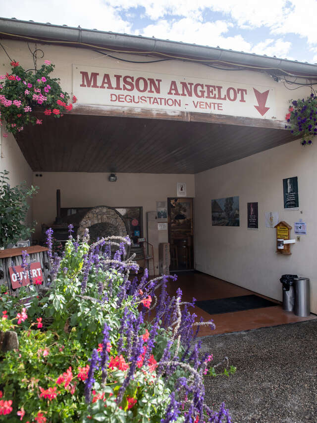 Maison Angelot
