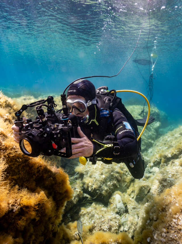 Live sous-marin commenté à Porquerolles