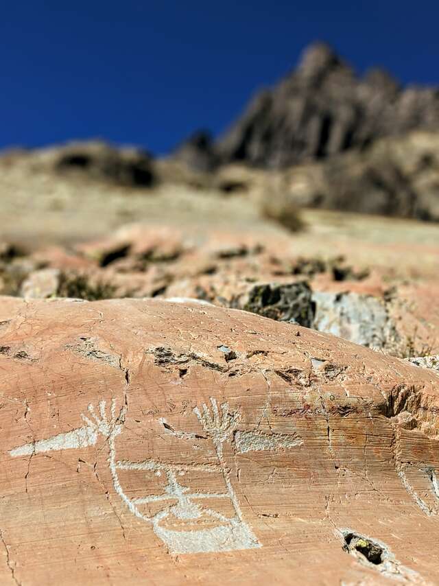 Passeggiata guidata - Jordi Le Martelot