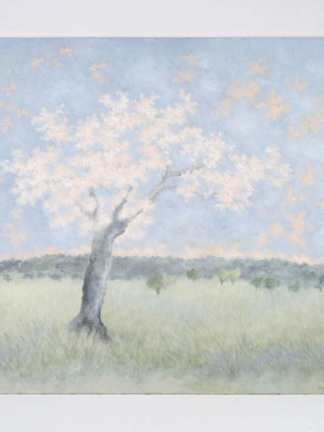 Atelier Galerie "Les Lumières du Vent" - Karibou