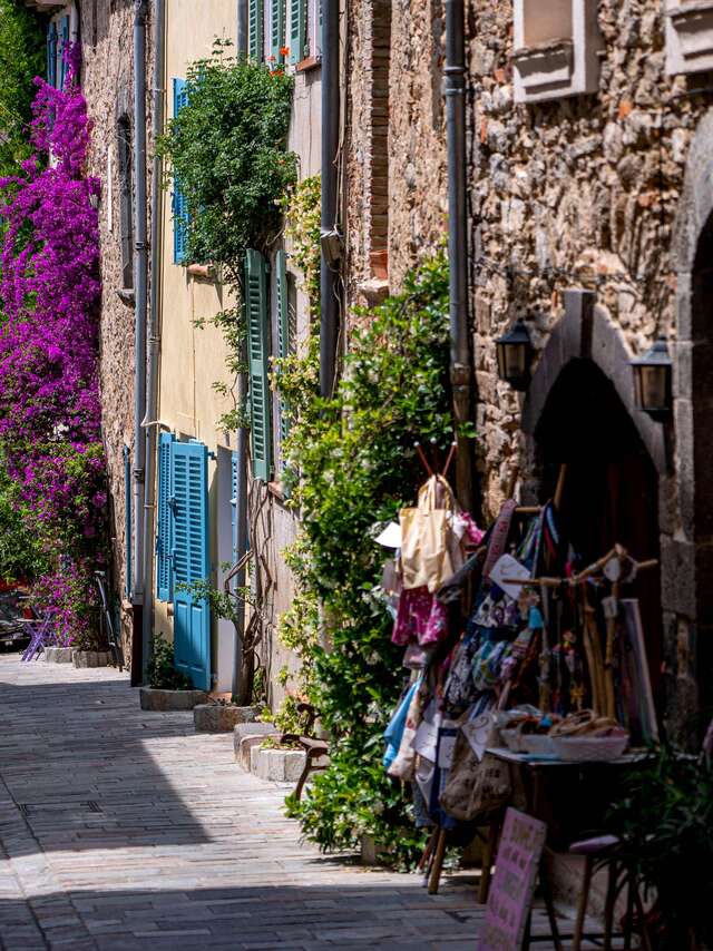 La balade des bougainvilliers