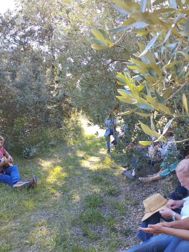 Les balades contées … et gourmandes