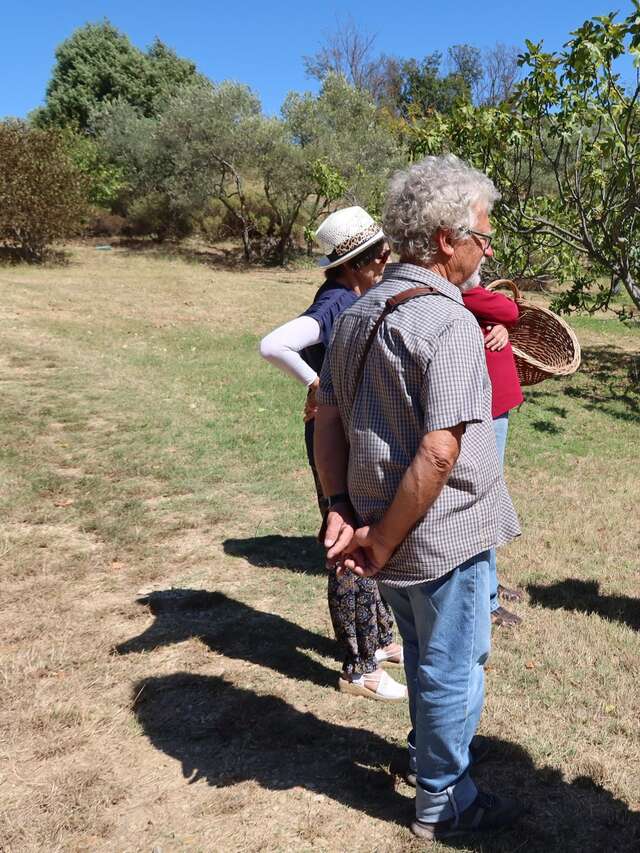 Visite guidée des vergers et jardins de la Thomassine