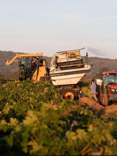 visite de la Passion - vendanges et BASTIDE