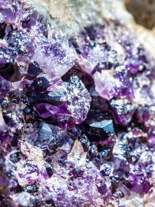 House of Amethyst