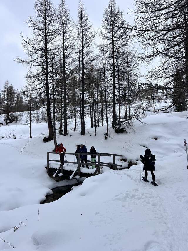 Randonnée raquettes Grizzly