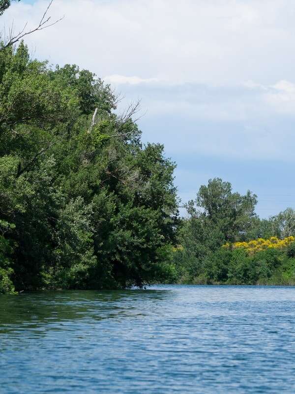 La Isla de la Barthelasse