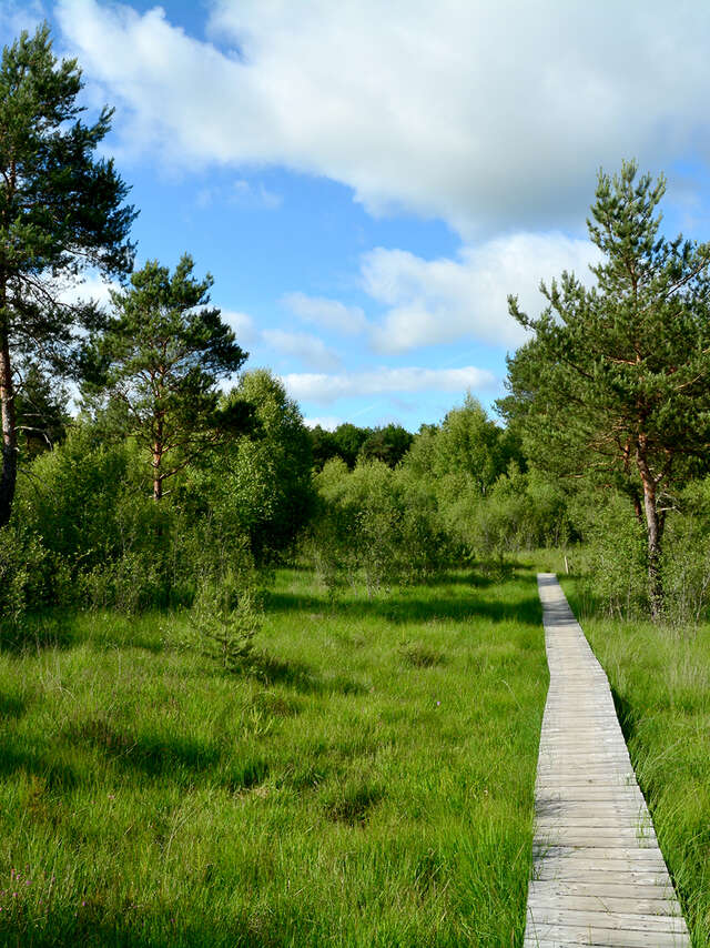 Le Marais du Cassan et de Prentegarde
