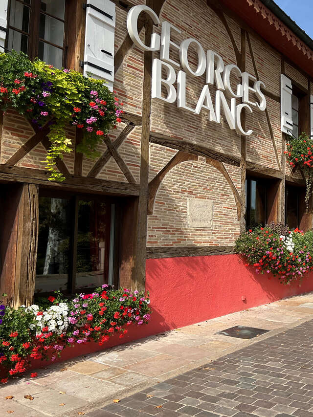 Hôtel Relais et Châteaux Parc & Spa Georges Blanc