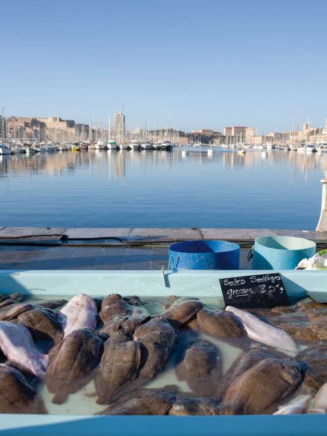 Cuisine marine durable : repenser notre assiette pour préserver la Méditerranée