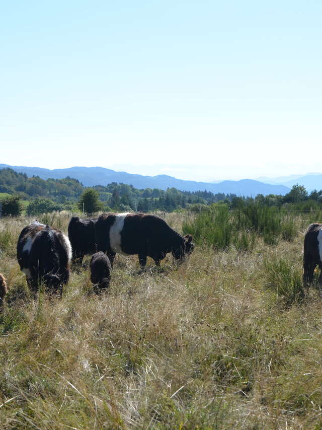 Ferme du Grand Freydier