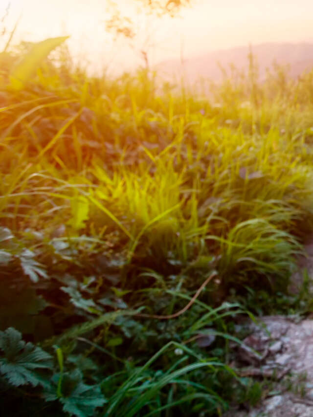 Initiation à la course orientation