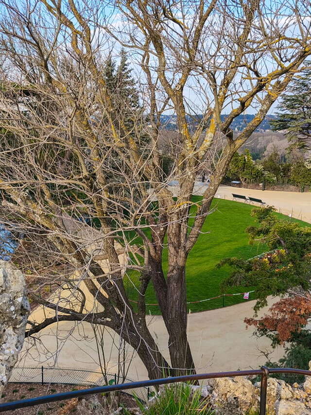 Le jardin du Rocher des Doms