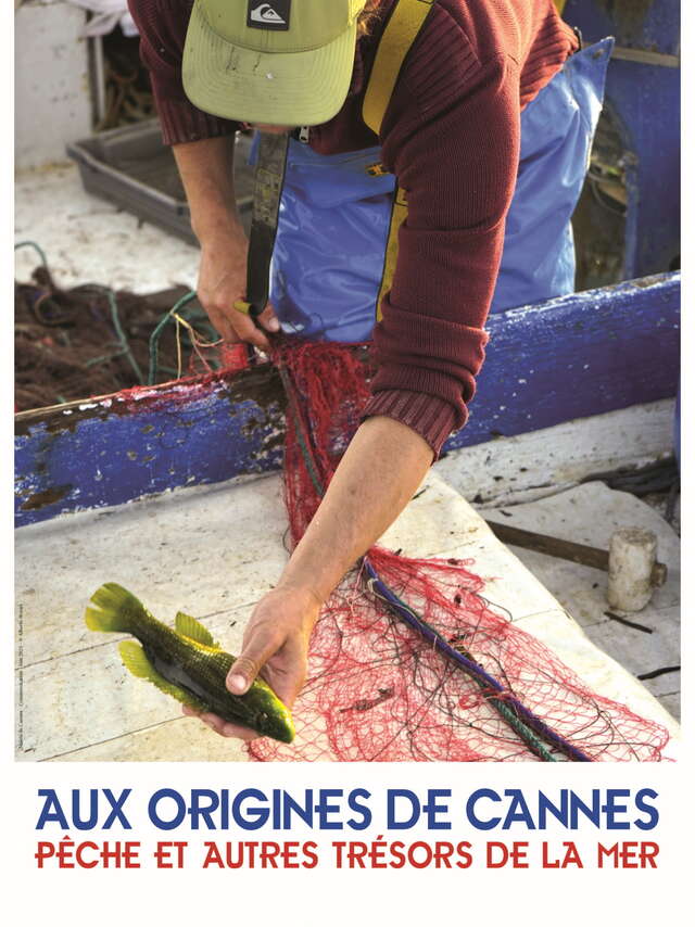Mostra "Le origini di Cannes - Pesca e altri tesori del mare".