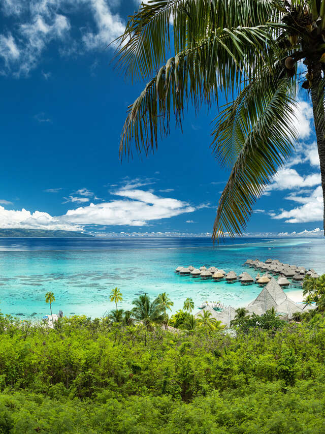 Défi d'elles Tahiti Moorea