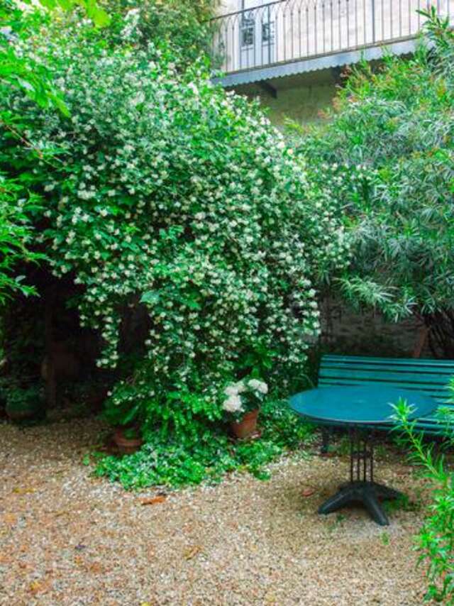 Le Cloître du Couvent - Chambre d'hôtes