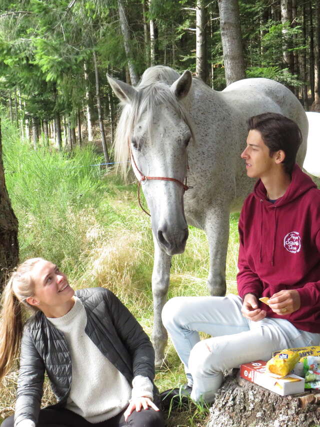 Les chevaux de Capucine