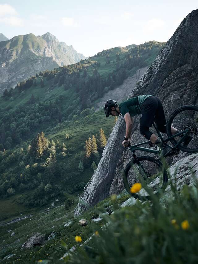 Season Guiding