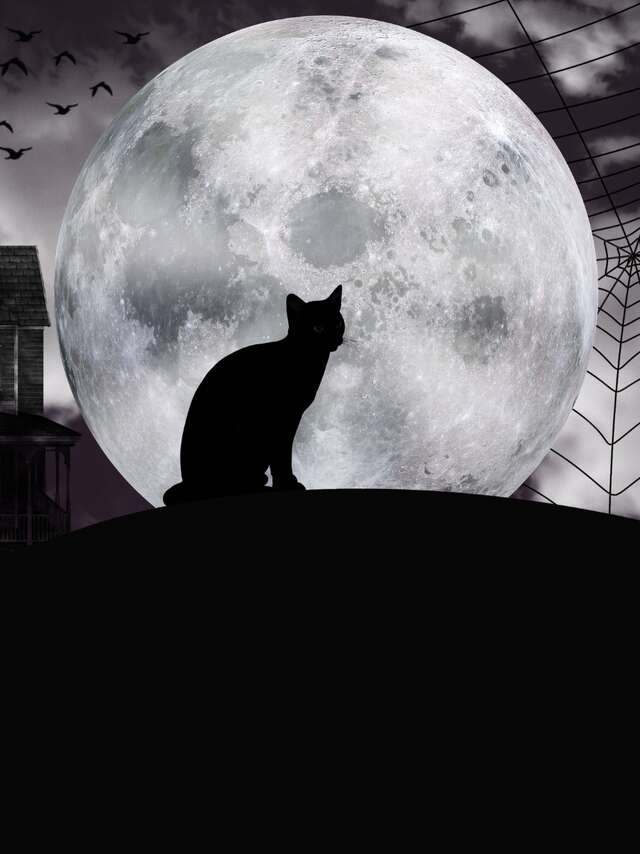 Visite guidée : "Les effroyables histoires d'Halloween"