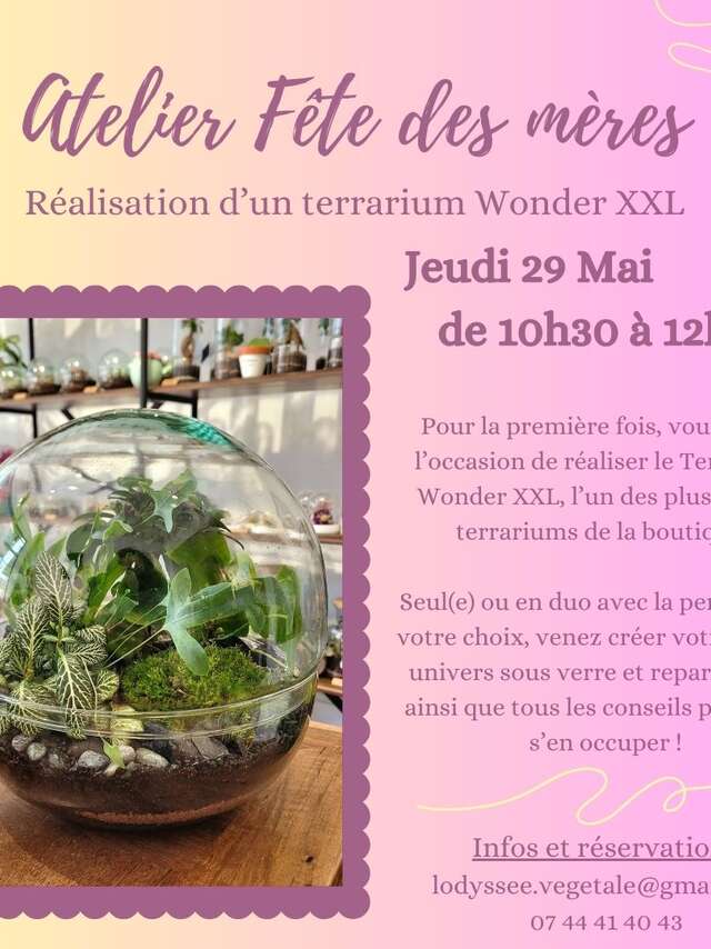 Atelier spécial Fête des mères - Terrarium XXL