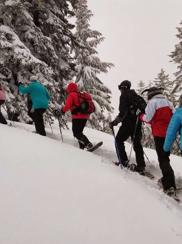 Team building - Rando raquettes