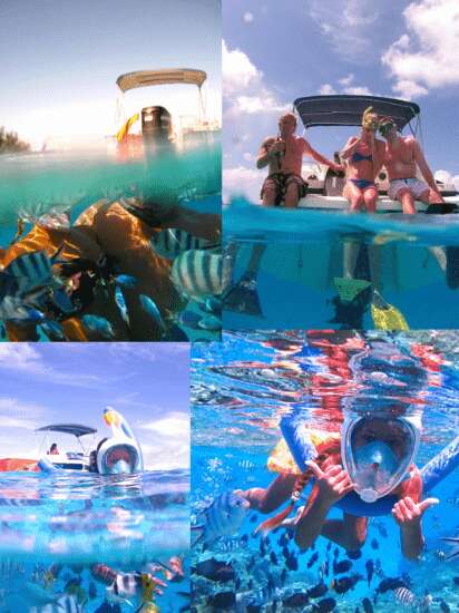 Nemo Snorkeling