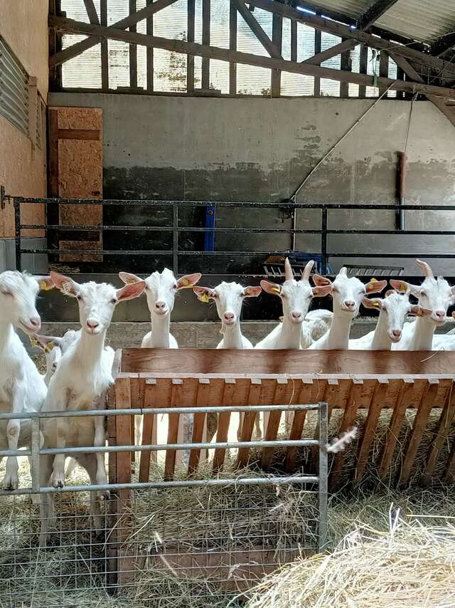 Visite du GAEC du Banc du Peyron