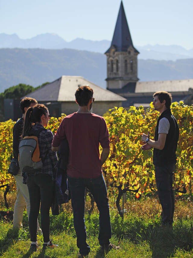 Vignobles en Scène : Animations au Domaine de l'Idylle