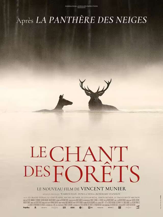 Projection du film "Le chant des forêts"