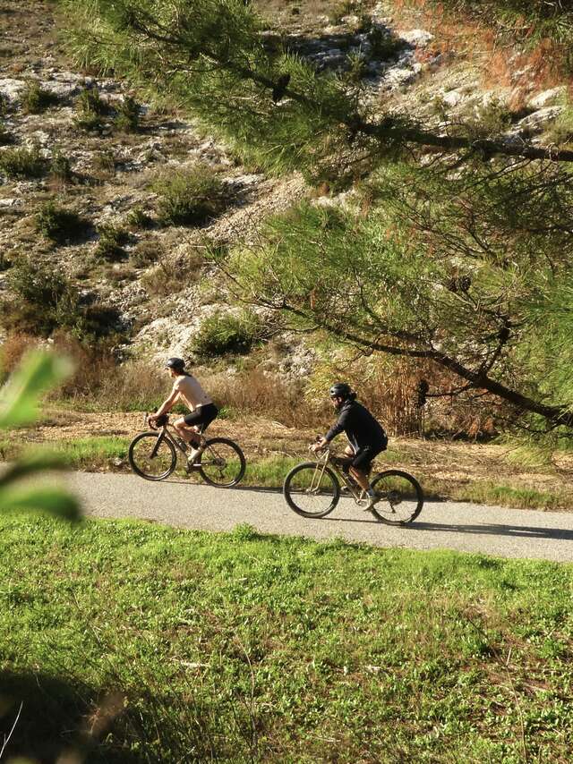 La Côte du Rhône-balade à vélo-54