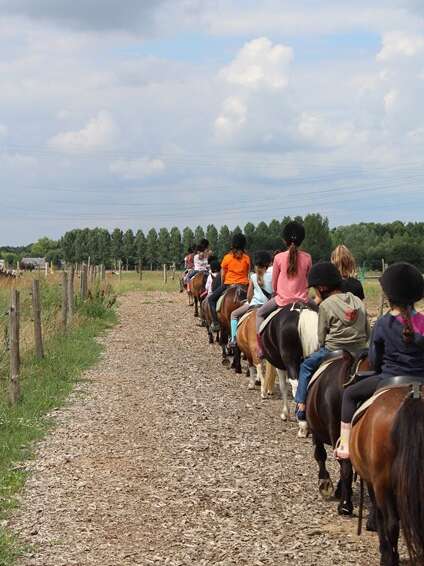 Loisirs Equestres Ecouflant