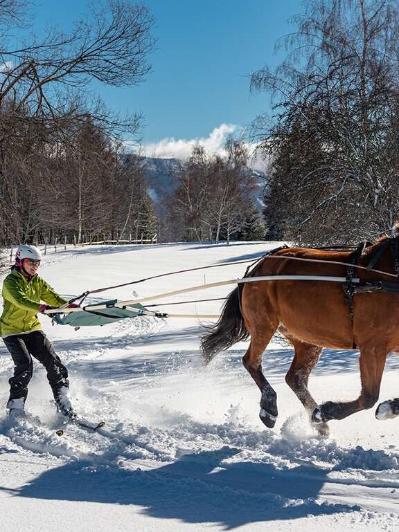 Cercle équestre Volte Face