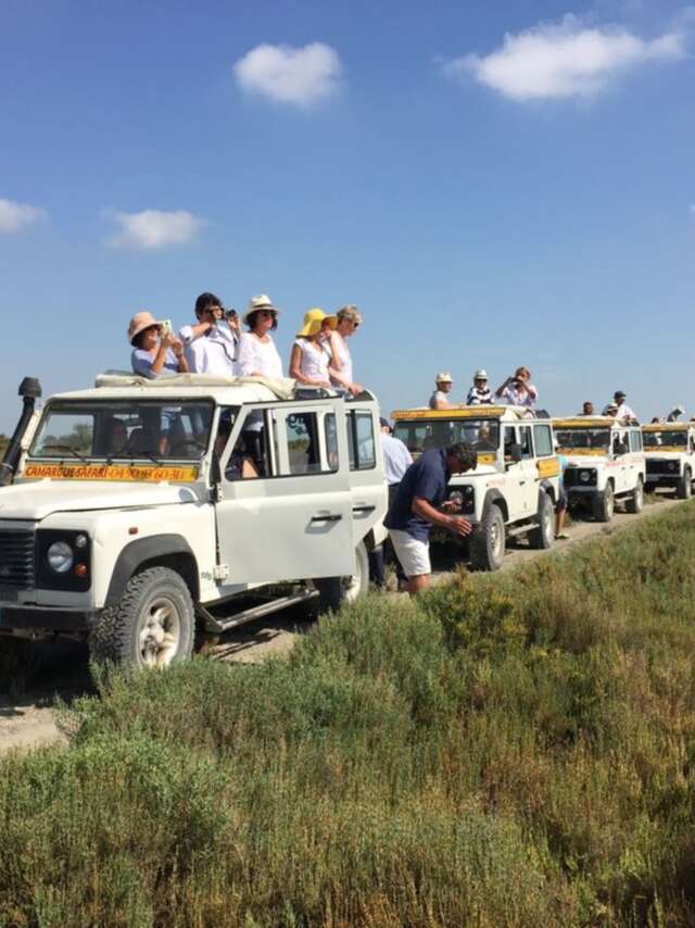 Camargue Alpilles Safari