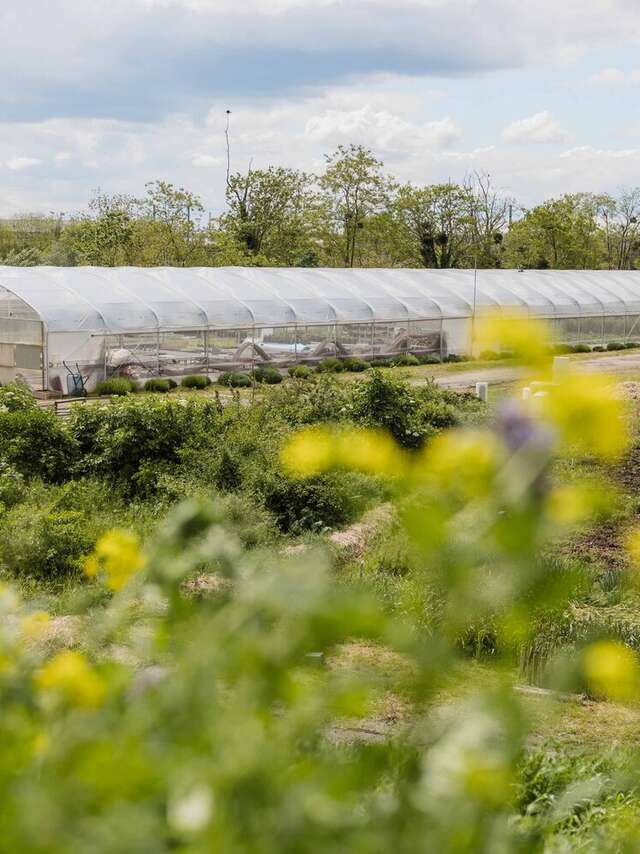Visite guidée - Lil’Ô, friche industrielle en reconversion écologique !