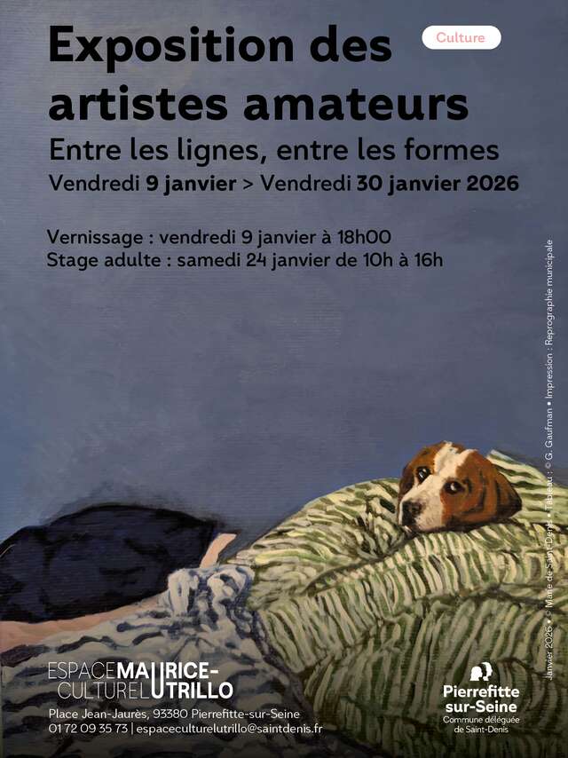 Exhibition - Entre les lignes, entre les formes