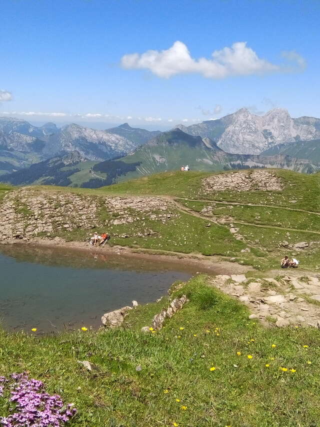 Randonnée : l'Ambrevetta et la Combe du Tardevant