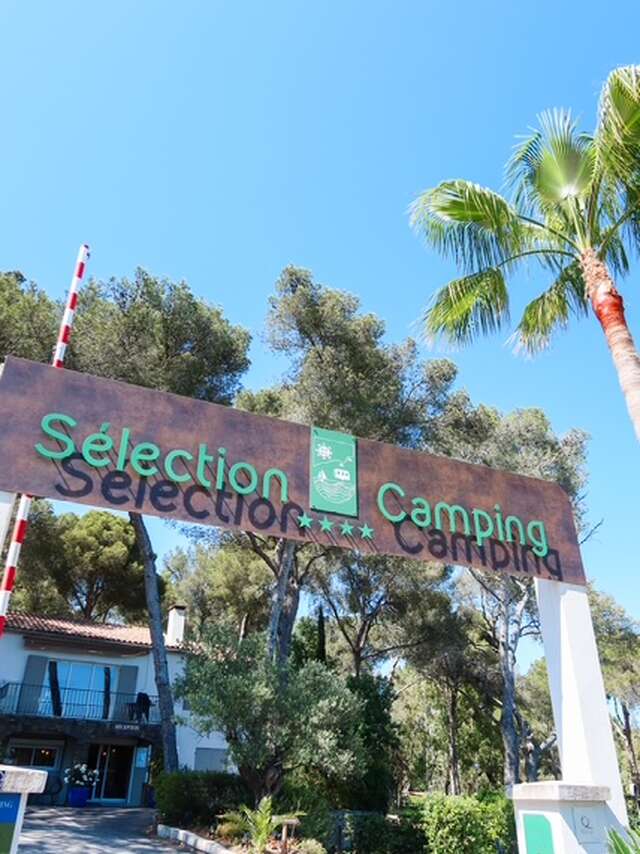 Selection Camping