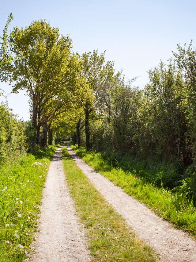 Bucolic walk around Saint-Léger-de-Linières