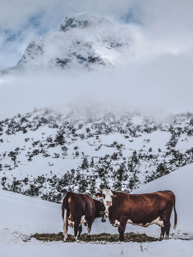 Veillée d'hiver : l'agriculture