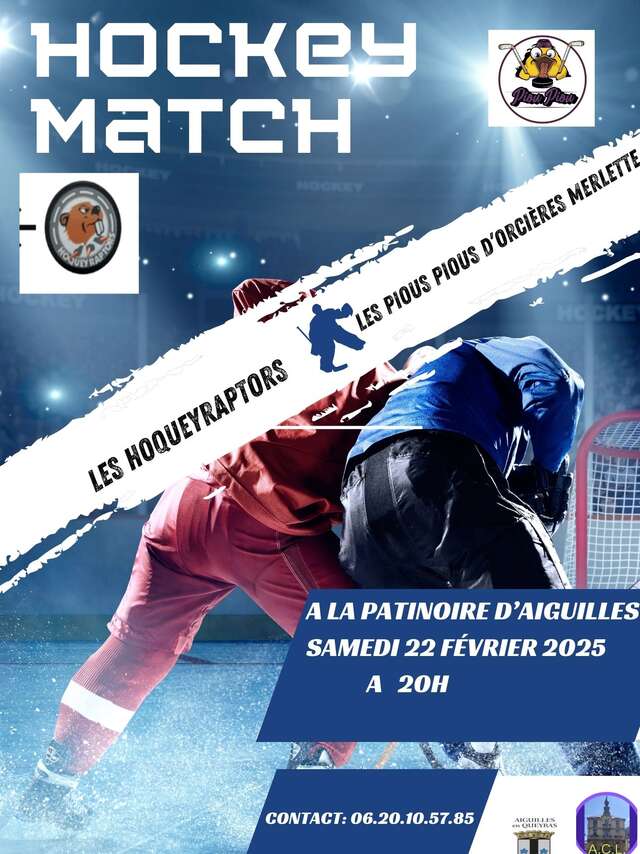 Match de Hockey sur Glace