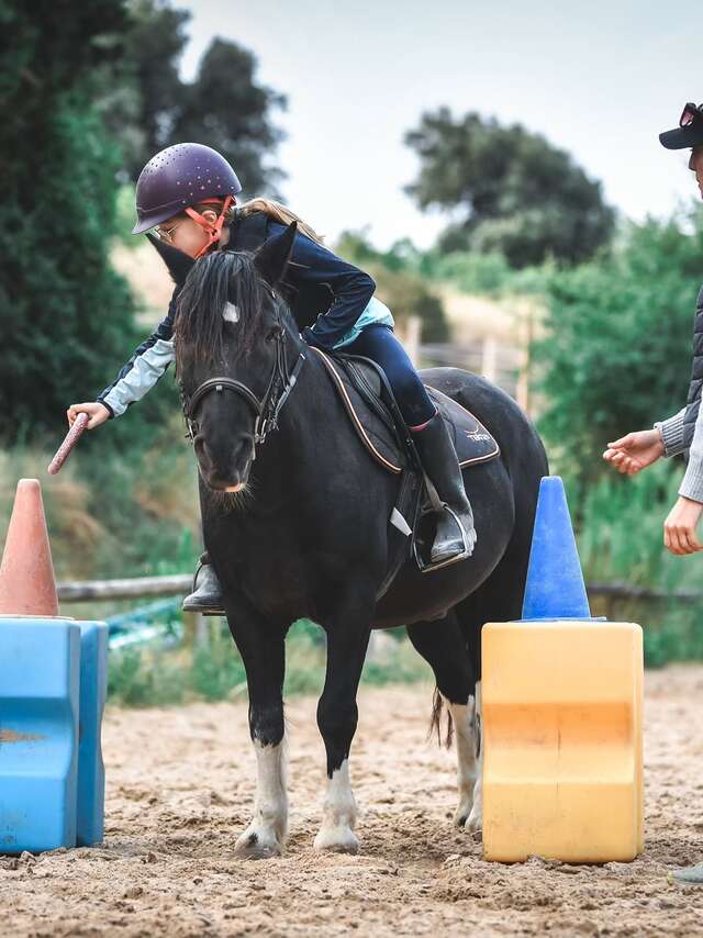 Reitzentrum und Poney-Club Le Palis