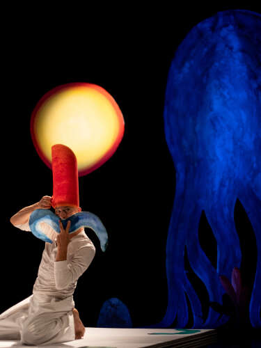 Spectacle - A quoi rêvent les méduses