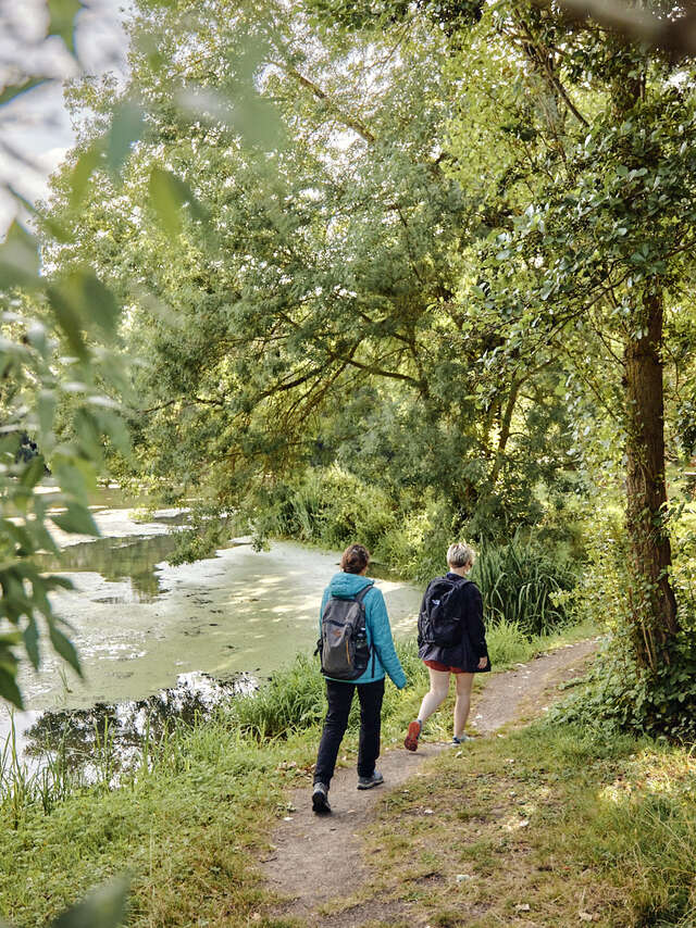 Entre bois et bocage