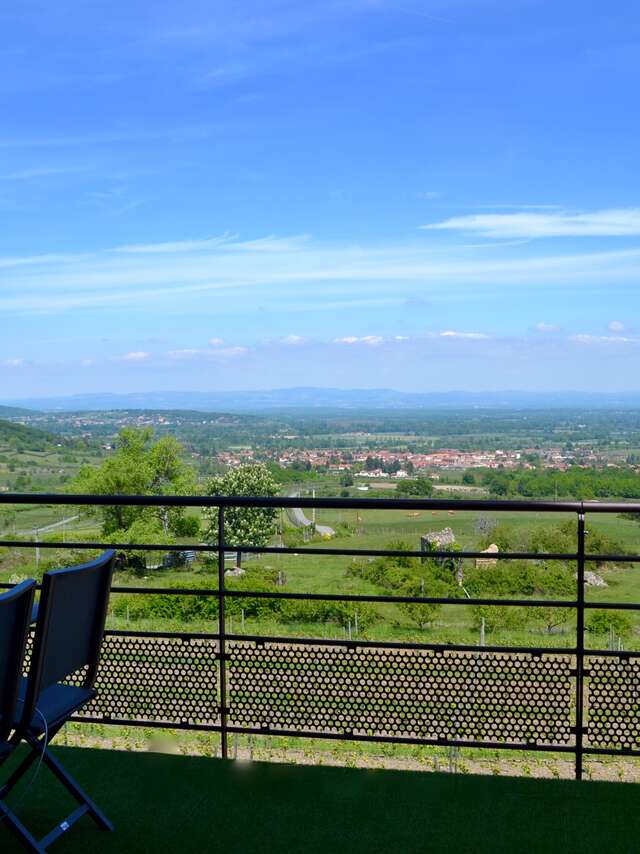 Vue sur Vignes