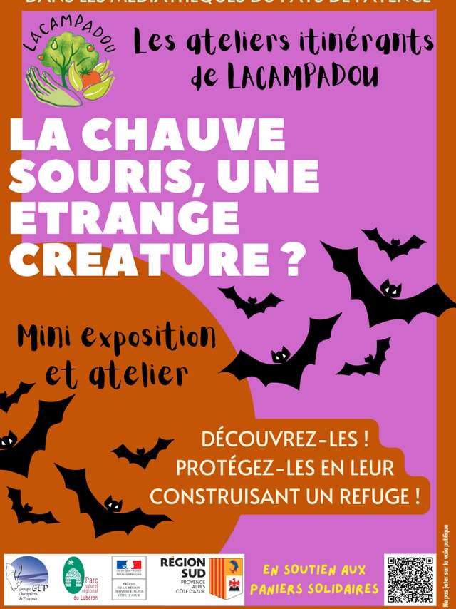 Exposition : La chauve-souris, une étrange créature !