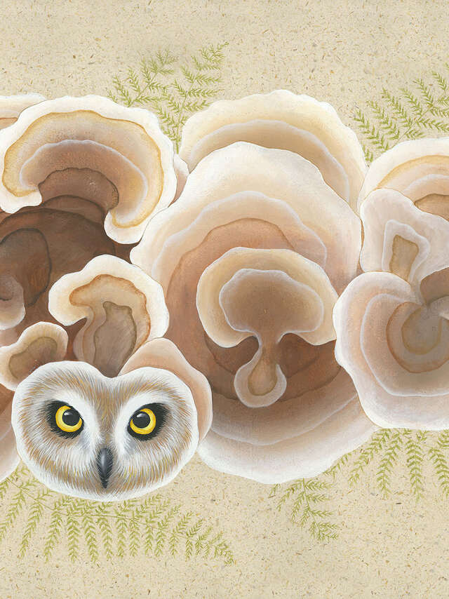 Exposition : Chimères végétales