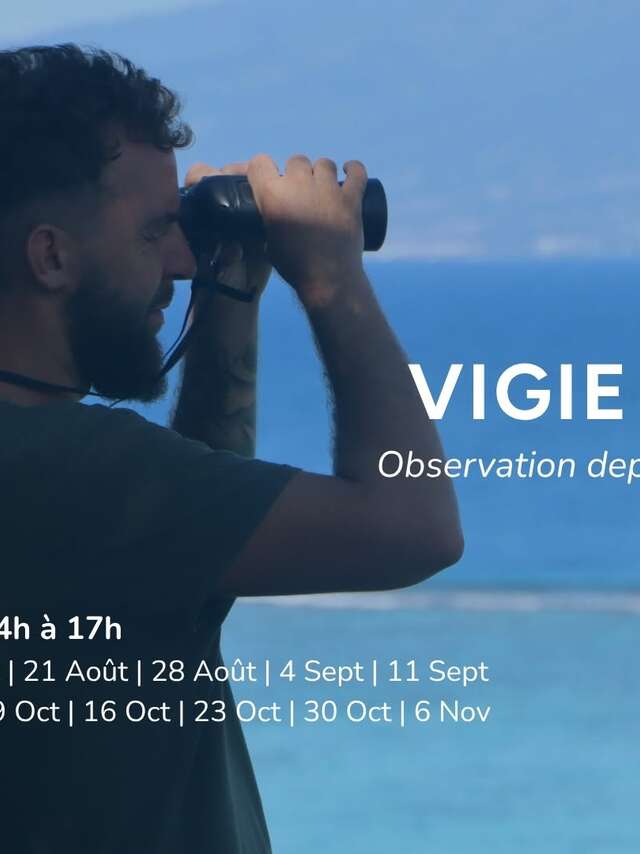 Vigie à terre - Oceania