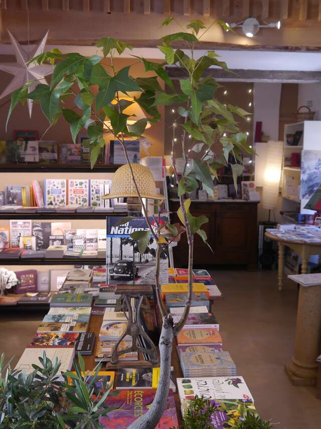 Le jardin Singulier - Esprit des lieux